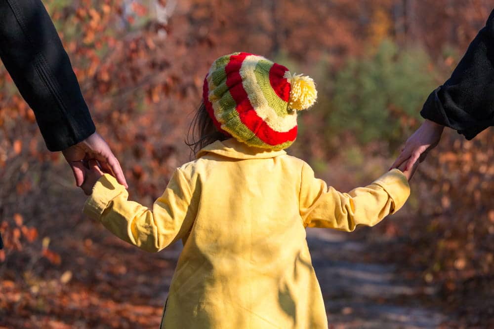 Image is of a child holding hands with two adults, representing shared parenting time under a joint custody arrangement.